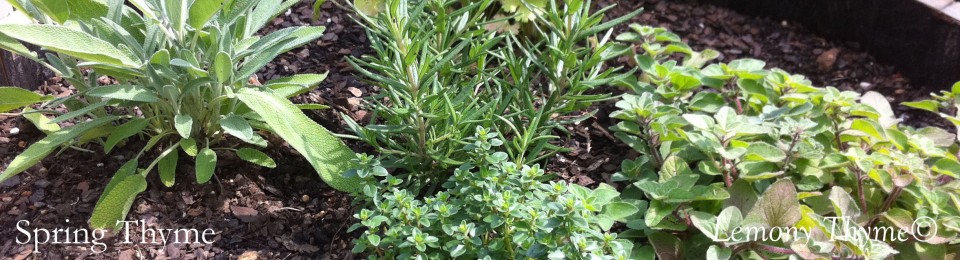 Lemony Thyme